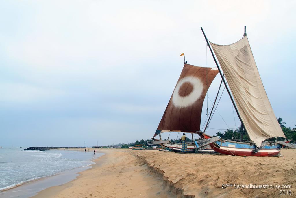 Serendib Guest House Negombo Exterior photo