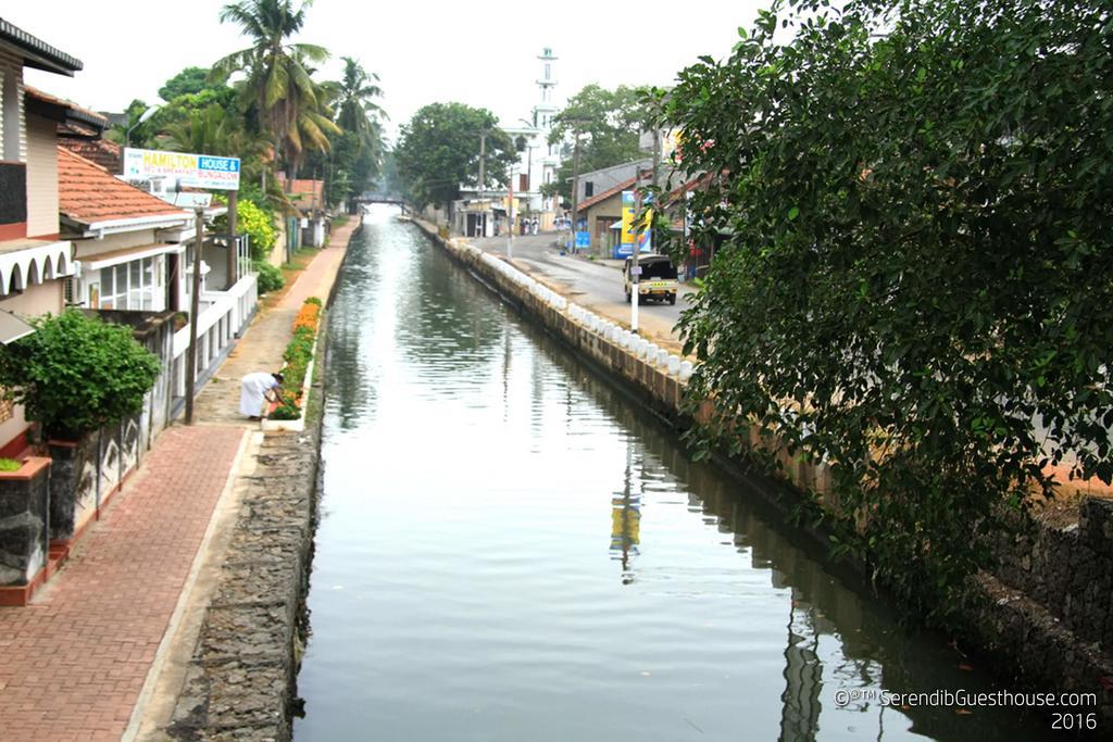 Serendib Guest House Negombo Exterior photo