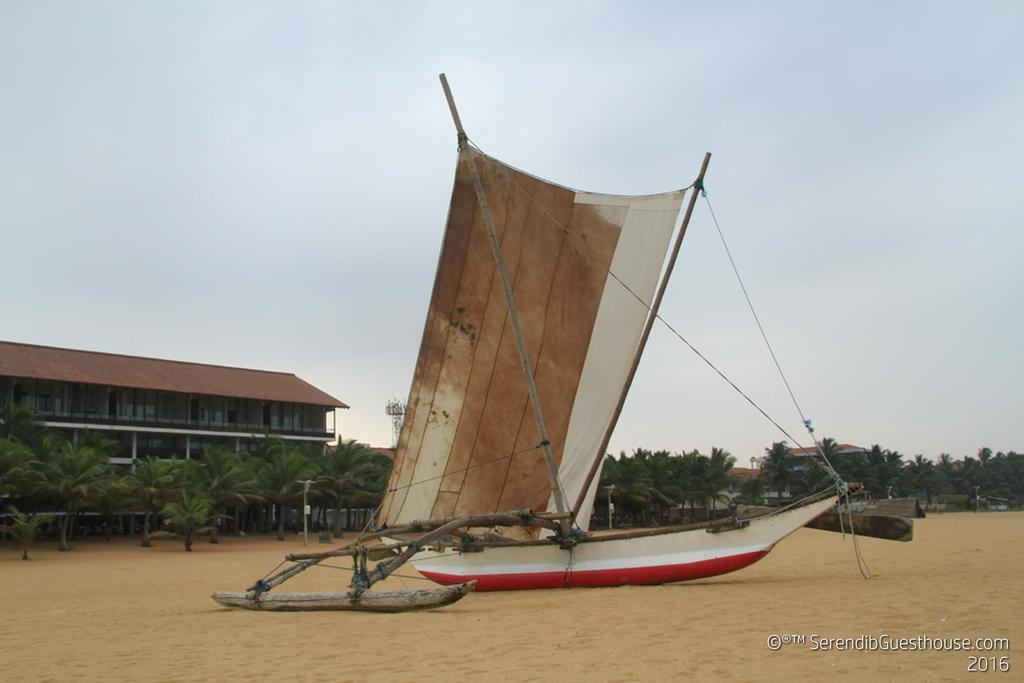 Serendib Guest House Negombo Exterior photo