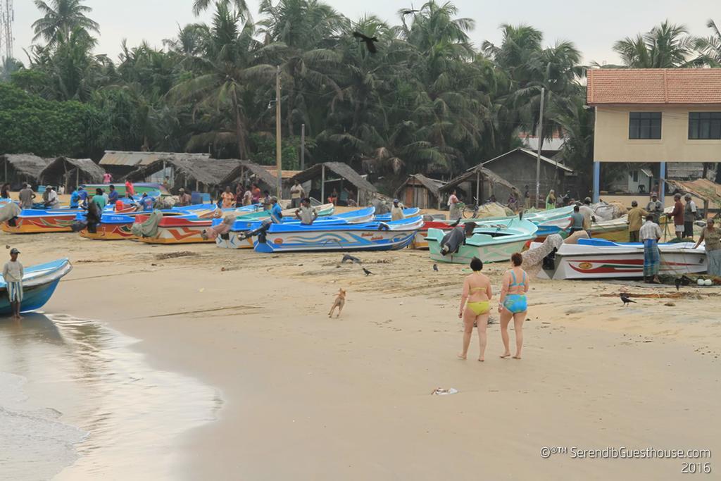 Serendib Guest House Negombo Exterior photo
