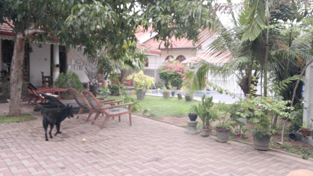 Serendib Guest House Negombo Exterior photo