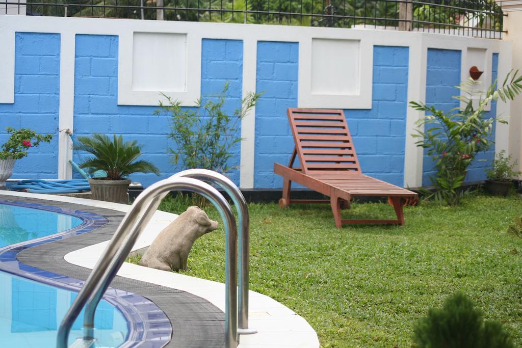 Serendib Guest House Negombo Exterior photo
